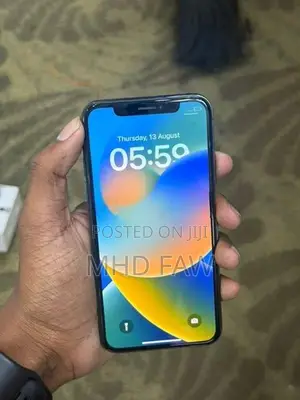 Apple iPhone X 256GB (Used)