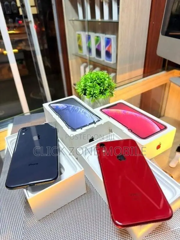 Apple iPhone XR (Used)