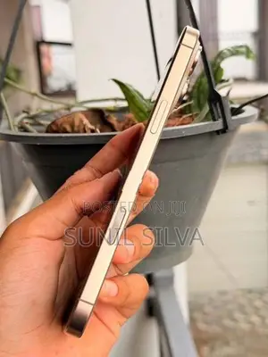 Apple iPhone 16 Pro Max (Used)