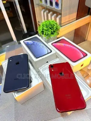 Apple iPhone XR (Used)