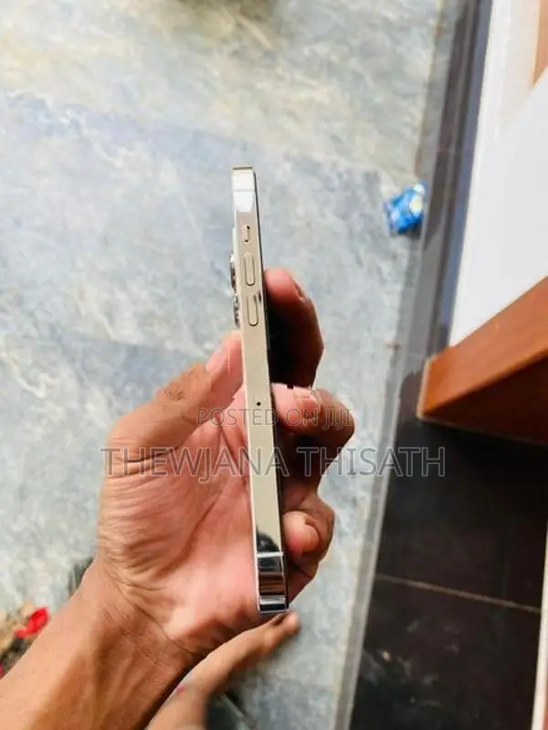 Apple iPhone 13 Pro 256GB (Used)