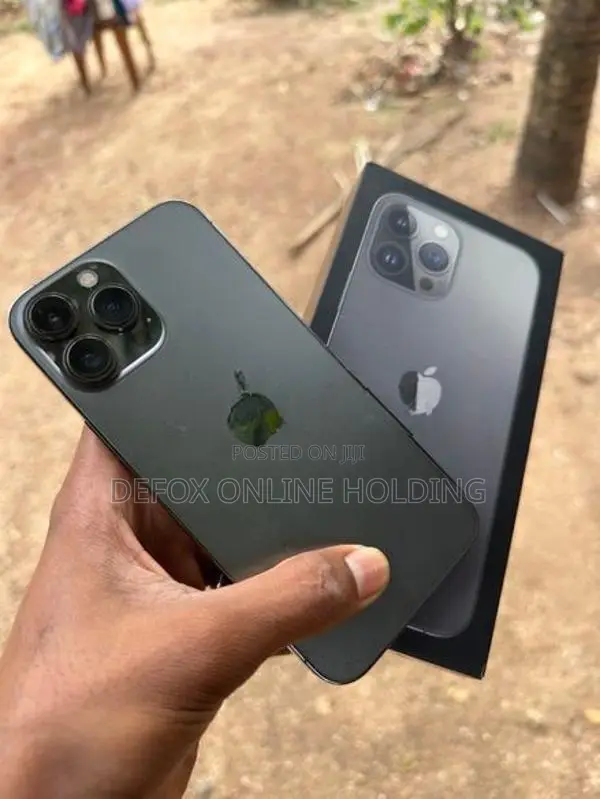 Apple iPhone 13 Pro Max 256GB (Used)