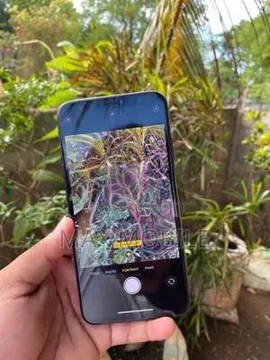 Apple iPhone XS Max 256Gb (Used)