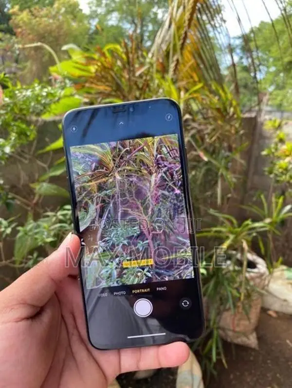 Apple iPhone XS Max 256Gb (Used)