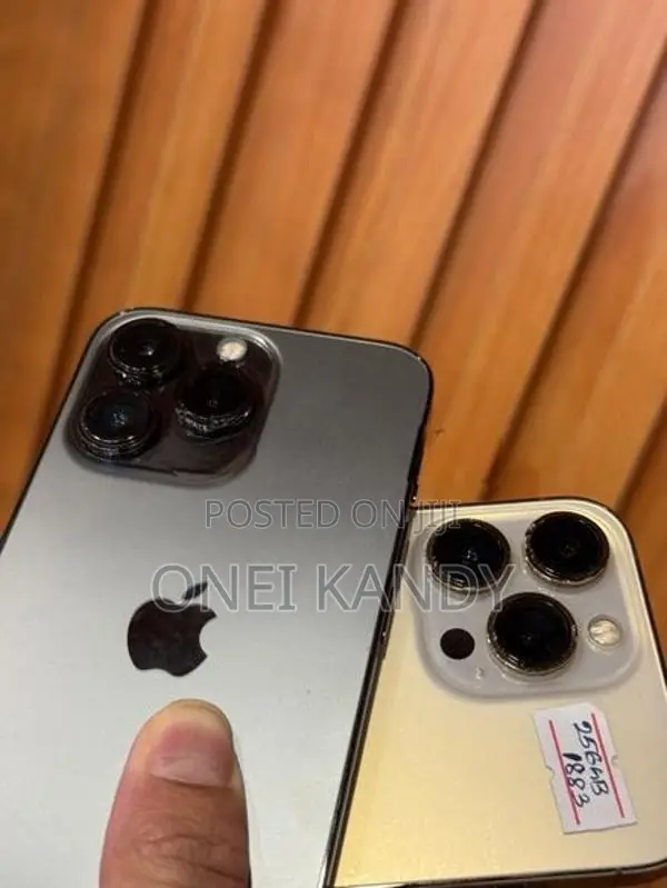 Apple iPhone 13 Pro 256GB (Used)