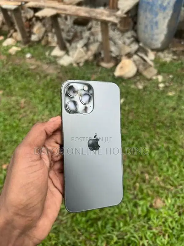Apple iPhone 13 Pro Max 256GB (Used)