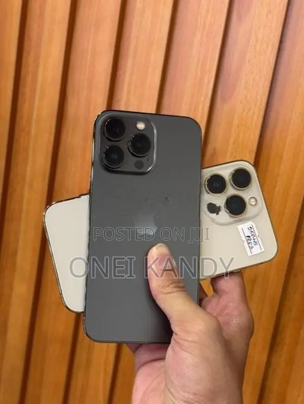 Apple iPhone 13 Pro 256GB (Used)