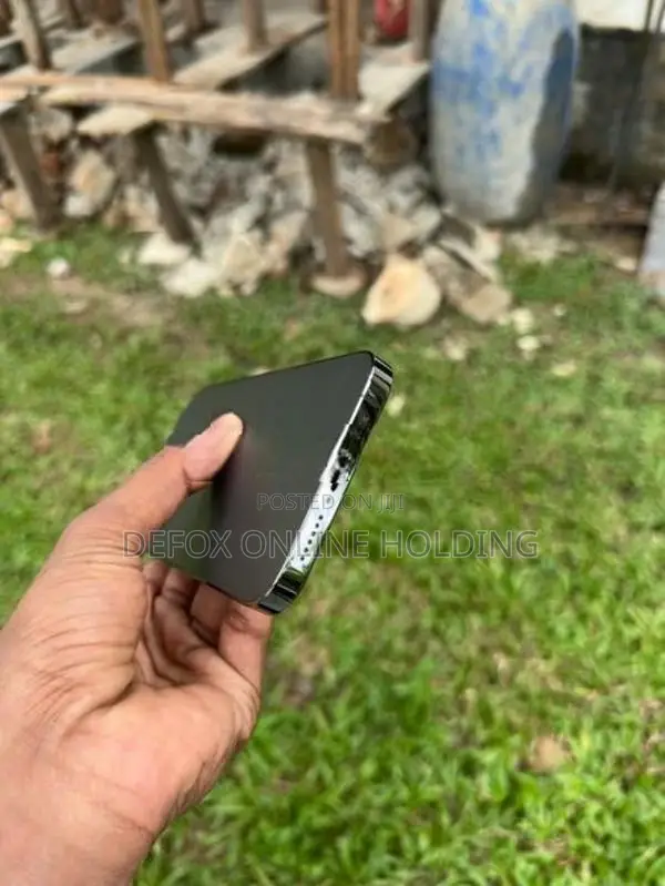 Apple iPhone 13 Pro Max 256GB (Used)