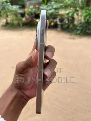 Vivo X300 Pro (Used)