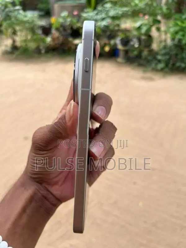 Vivo X300 Pro (Used)