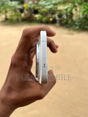 Vivo X300 Pro (Used)
