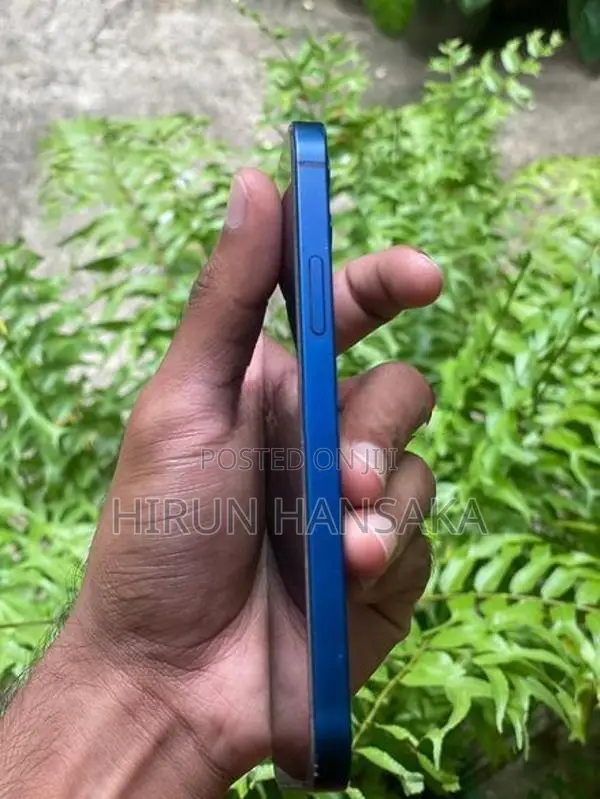 Apple iPhone 12 (Used)