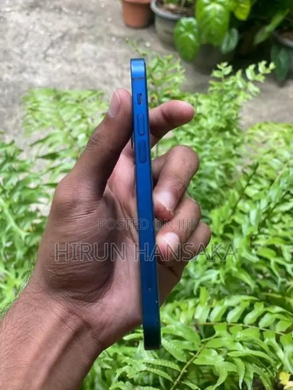 Apple iPhone 12 (Used)