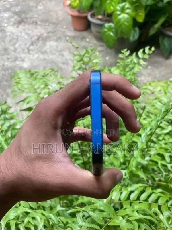 Apple iPhone 12 (Used)