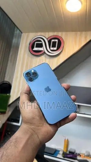 Apple iPhone 12 Pro Max (Used)