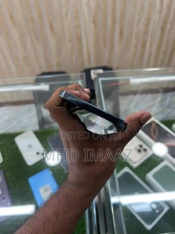 Apple iPhone 12 Pro Max (Used)