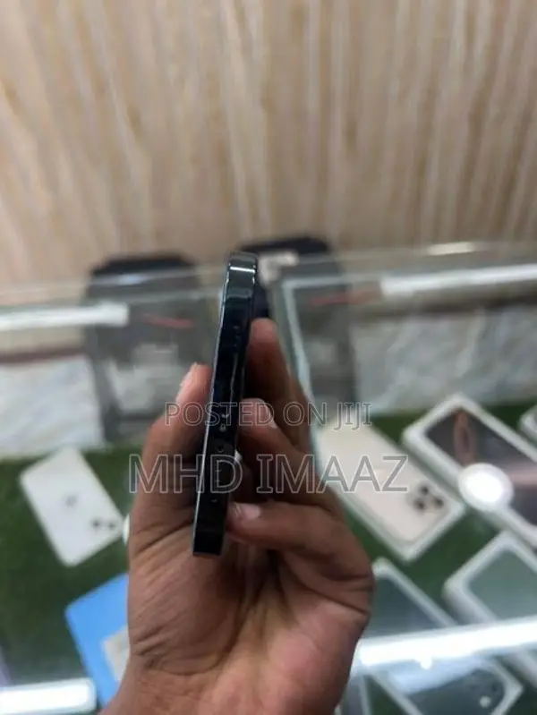 Apple iPhone 12 Pro Max (Used)