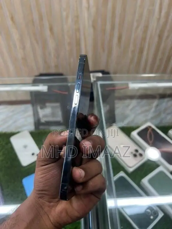Apple iPhone 12 Pro Max (Used)