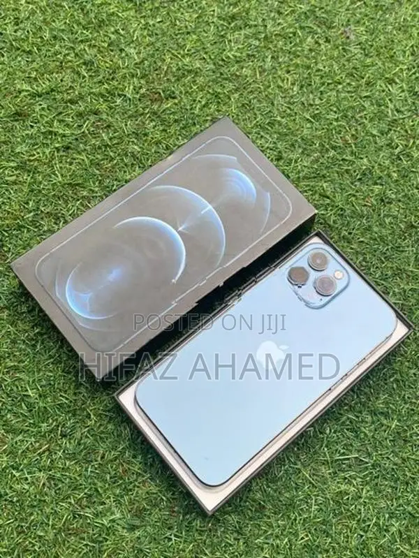 Apple iPhone 12 Pro Max (Used)