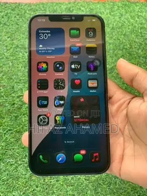 Apple iPhone 12 Pro Max (Used)