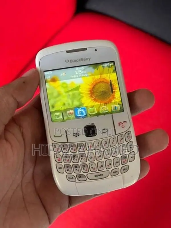 BlackBerry Curve (Used)