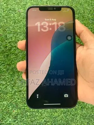 Apple iPhone 12 Pro Max (Used)