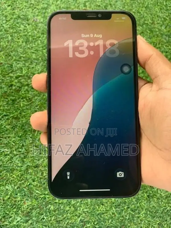 Apple iPhone 12 Pro Max (Used)