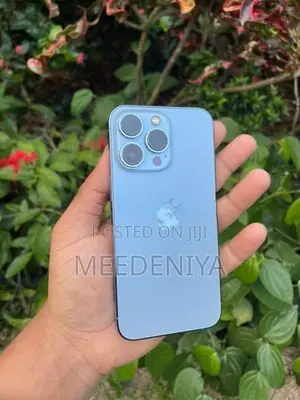 Apple iPhone 13 Pro 5G (Used)