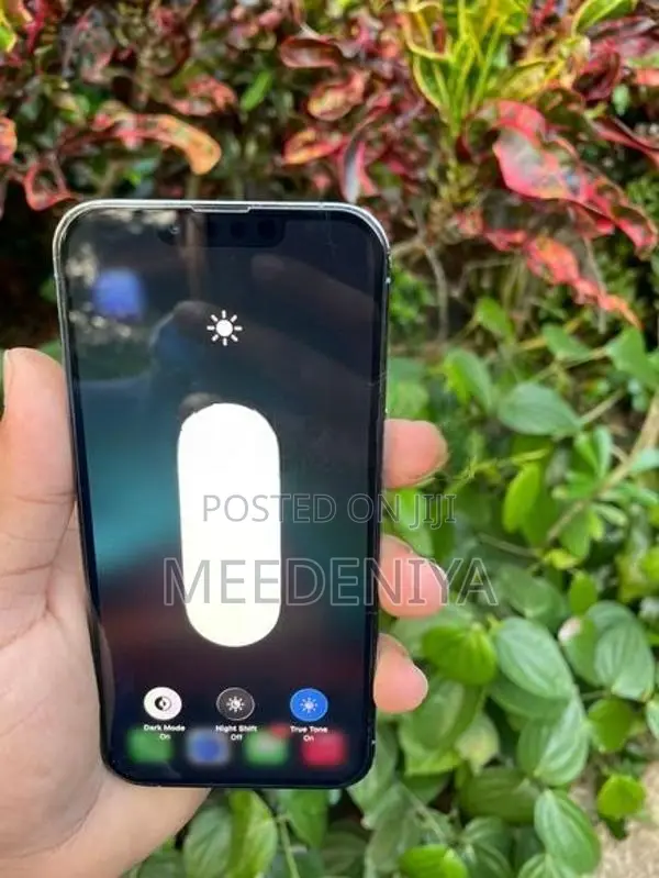 Apple iPhone 13 Pro 5G (Used)