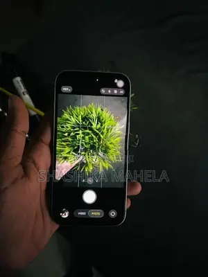 Apple iPhone 15 (Used)
