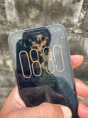 Apple iPhone 12 Pro 256GB (Used)