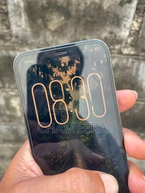 Apple iPhone 12 Pro 256GB (Used)
