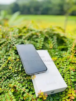 Apple iPhone 12 Pro (Used)