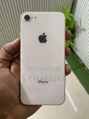 Apple iPhone 8 256GB (Used)