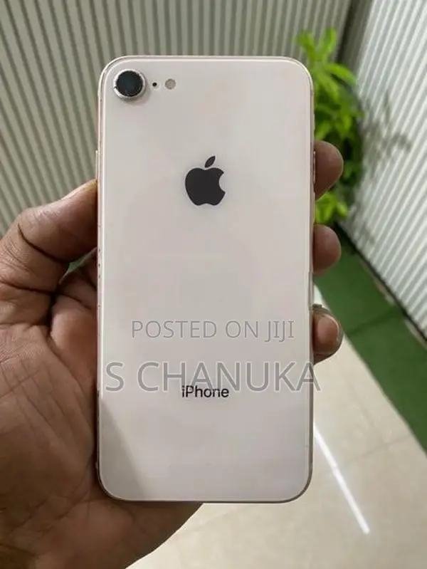 Apple iPhone 8 256GB (Used)