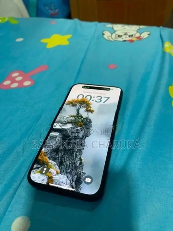 Apple iPhone 15 (Used)