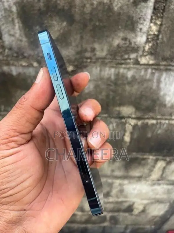 Apple iPhone 12 Pro 256GB (Used)