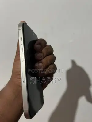 Apple iPhone 15 Pro (Used)