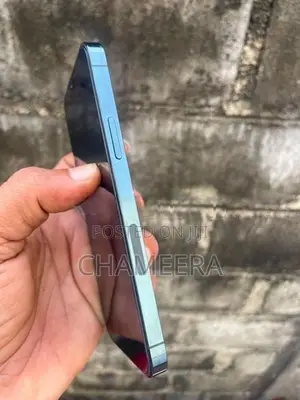 Apple iPhone 12 Pro 256GB (Used)