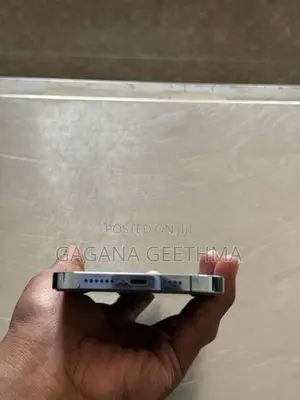 Apple iPhone 13 Pro Max (Used)