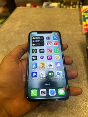 Apple iPhone X (Used)