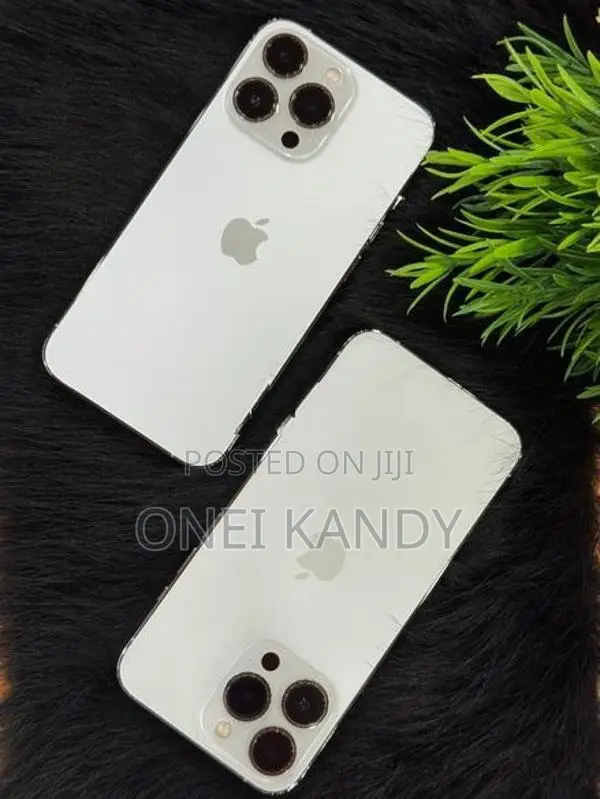 Apple iPhone 13 Pro 256GB (Used)