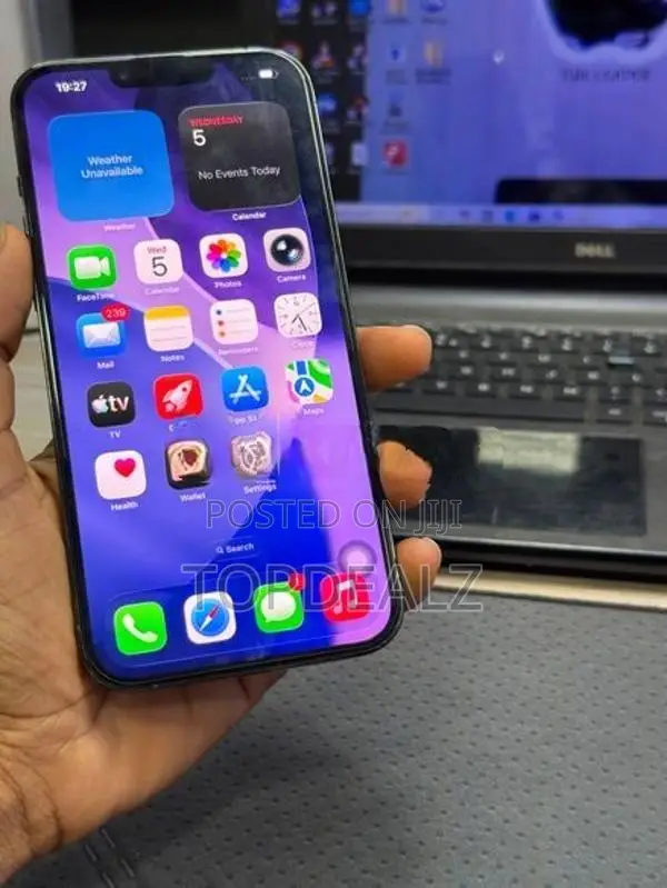 Apple iPhone 13 Pro Max 256GB (Used)
