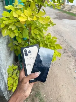 Apple iPhone 13 Pro (Used)