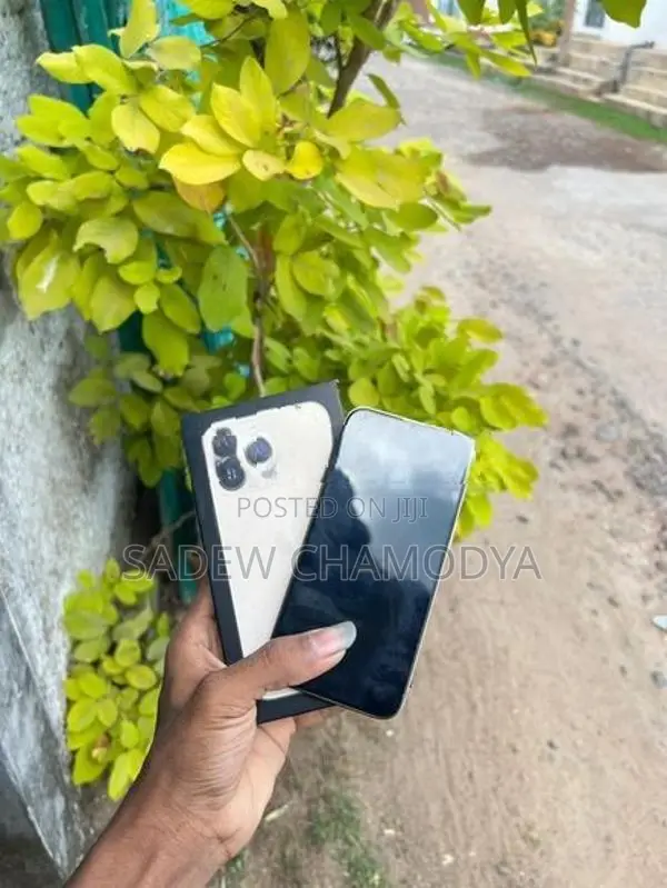 Apple iPhone 13 Pro (Used)