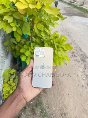 Apple iPhone 13 Pro (Used)