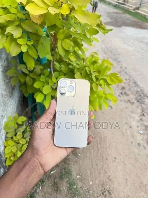 Apple iPhone 13 Pro (Used)