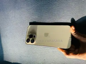 Apple iPhone 13 Pro Max (Used)