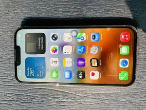 Apple iPhone 13 Pro Max (Used)