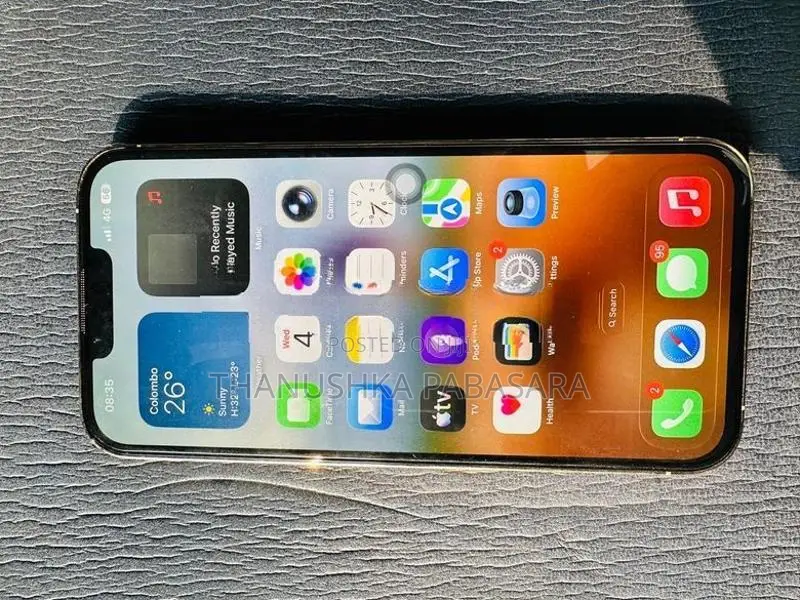 Apple iPhone 13 Pro Max (Used)